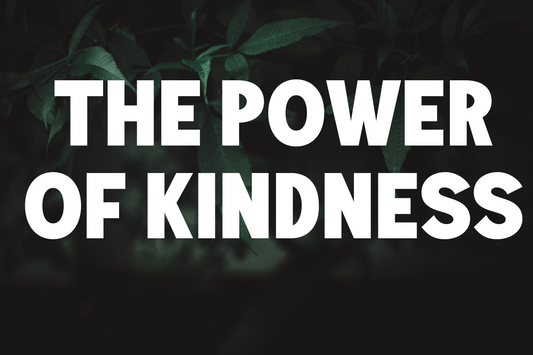 The Power of Kindness