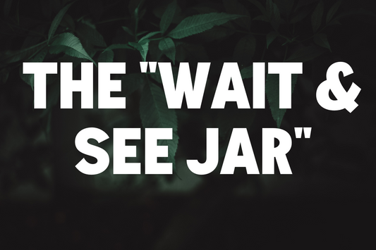 The "Wait & See Jar"