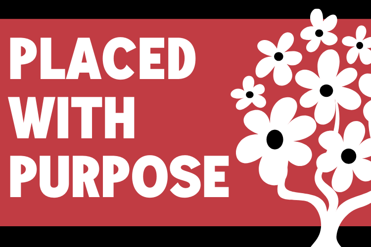 🌿 Placed With Purpose