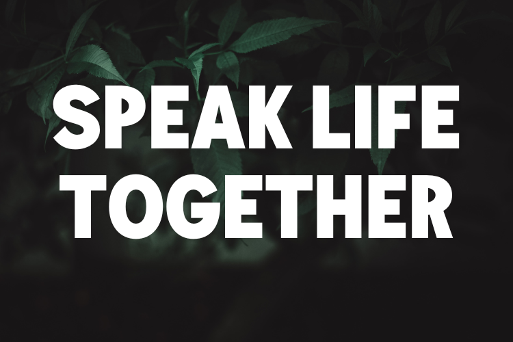 Family Activity: Build a Speak Life Wall