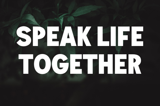 Family Activity: Build a Speak Life Wall